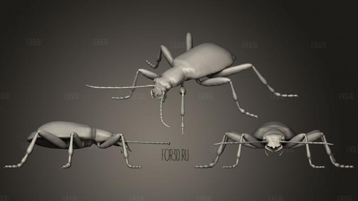 Bombardier Beetle stl model for CNC